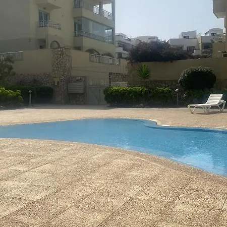 Livepalmmar *